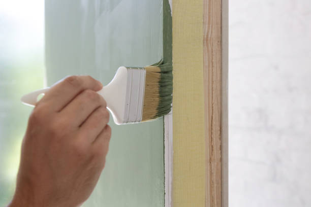 Best Mold Damage Restoration  in San Anselmo, CA