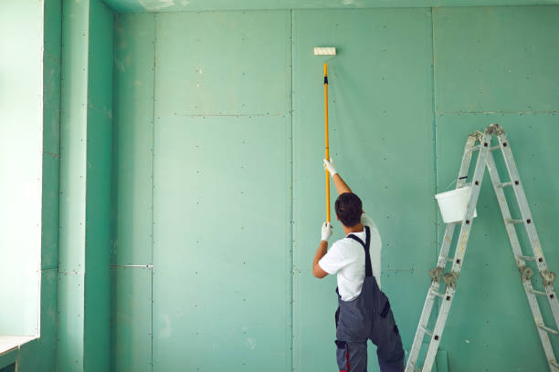 Best Environmental Consulting for Mold Prevention  in San Anselmo, CA