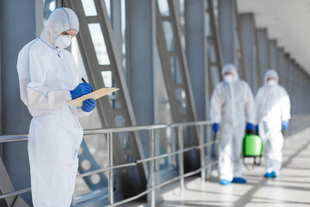 Best Asbestos and Lead Testing During Mold Inspection  in San Anselmo, CA