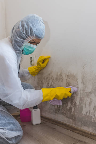 Best Indoor Air Quality Assessment  in San Anselmo, CA