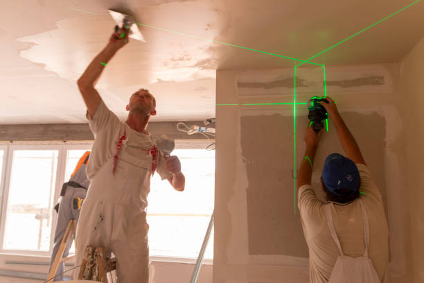 Reliable San Anselmo, CA Mold Removal Solutions