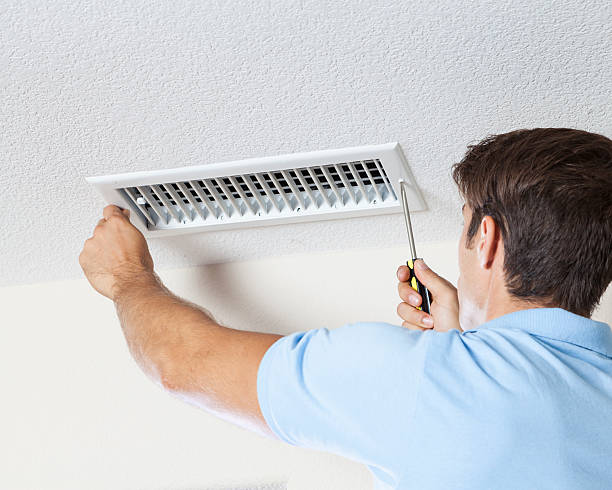 Best Attic Mold Removal  in San Anselmo, CA