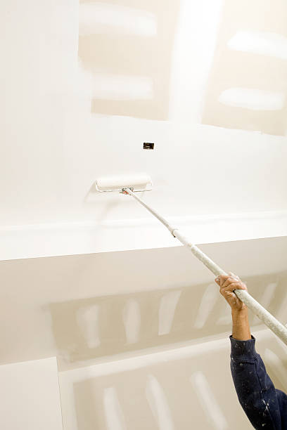 Best Biohazard Mold Removal  in San Anselmo, CA