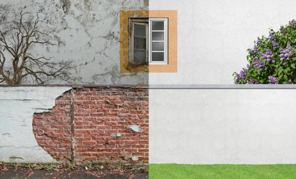 Mold Documentation for Insurance Claims in San Anselmo, CA